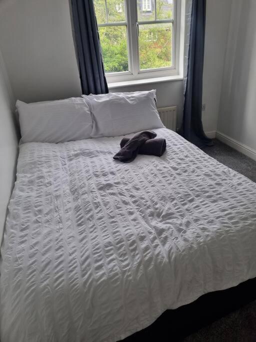 Maidstone Villa 3 Bedroom Free Sports Channels,Parking Sleeps 7 Exterior foto